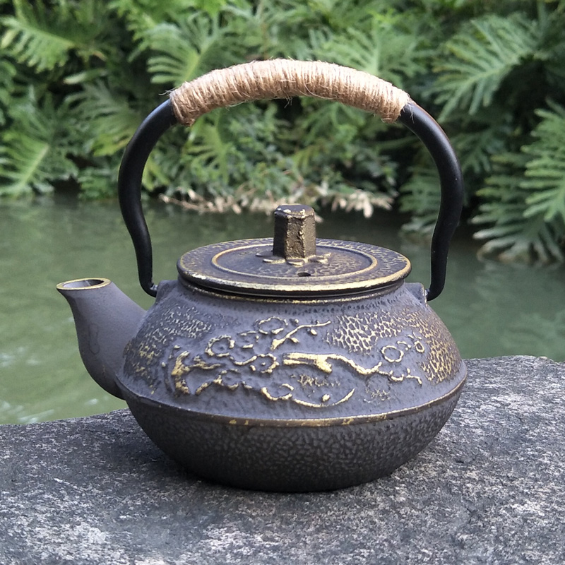 Théière en fonte bouilloire Te - Cast Iron Teapot avis et prix